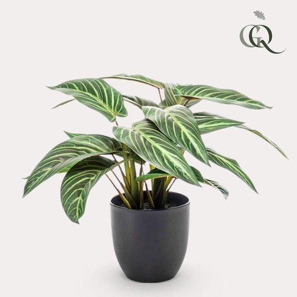 Kunstplant - Calathea Zebrina - Schaduwplant - 38 cm