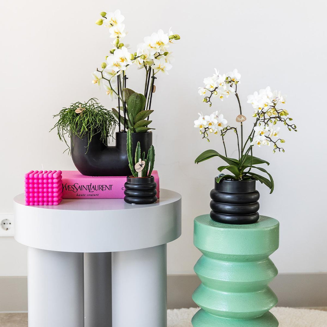 Kolibri Orchids | Witte phalaenopsis orchidee - Lausanne + Bubble pot black- potmaat Ø9cm | bloeiende kamerplant - vers van de kweker